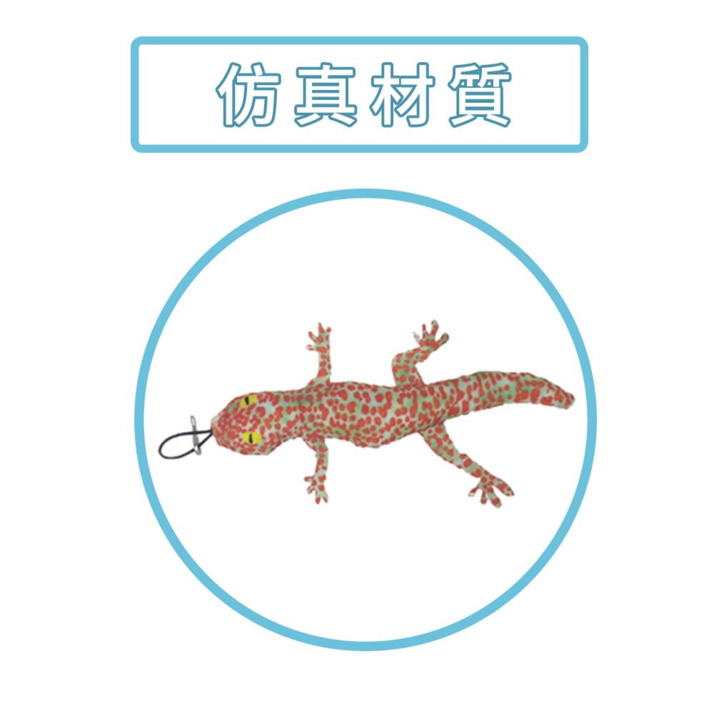 HF逗貓棒替換頭 仿真 蜥蜴替換頭 仿真 壁虎 貓咪 自嗨 解悶 逗貓棒 互動 耐咬貓 玩具毛掌櫃寵物店-圖片-5
