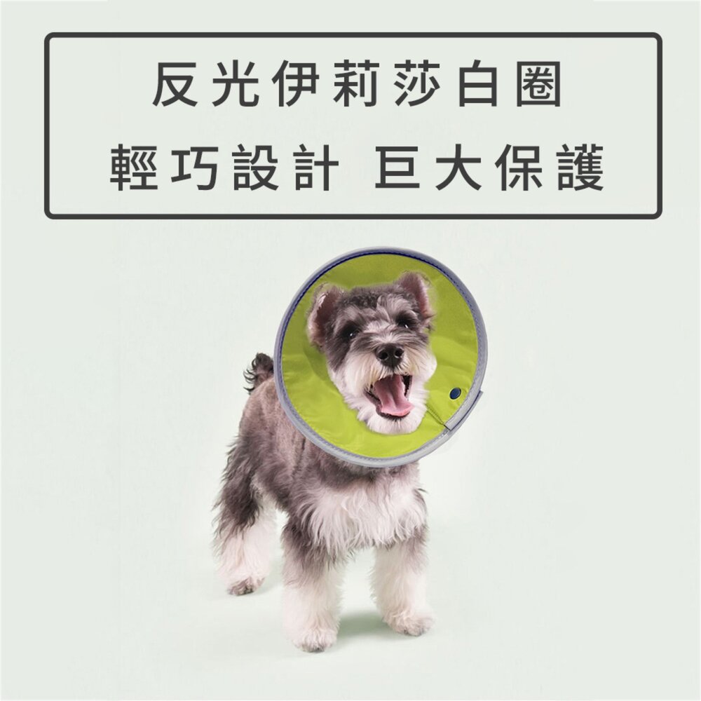 SHAME反光伊莉莎白圈 伊麗莎白圈 貓咪 防舔咬 頸圈 寵物 絕育 項圈 狗狗 術後 傷口 護理 項圈毛掌櫃寵物店-圖片-1