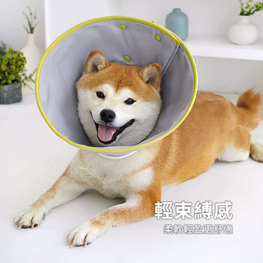 SHAME反光伊莉莎白圈 伊麗莎白圈 貓咪 防舔咬 頸圈 寵物 絕育 項圈 狗狗 術後 傷口 護理 項圈毛掌櫃寵物店-圖片-2