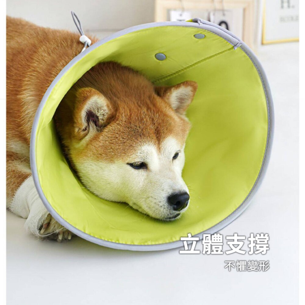 SHAME反光伊莉莎白圈 伊麗莎白圈 貓咪 防舔咬 頸圈 寵物 絕育 項圈 狗狗 術後 傷口 護理 項圈毛掌櫃寵物店-圖片-3