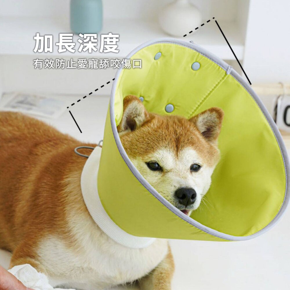 SHAME反光伊莉莎白圈 伊麗莎白圈 貓咪 防舔咬 頸圈 寵物 絕育 項圈 狗狗 術後 傷口 護理 項圈毛掌櫃寵物店-圖片-4