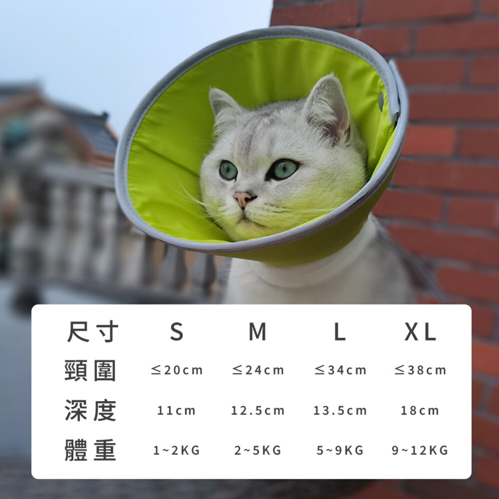 SHAME反光伊莉莎白圈 伊麗莎白圈 貓咪 防舔咬 頸圈 寵物 絕育 項圈 狗狗 術後 傷口 護理 項圈毛掌櫃寵物店-圖片-10