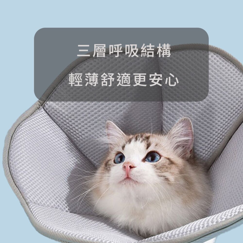 SHAME 透氣反光 伊莉莎白圈 頭套 防咬 防抓 保護套 透氣 沖孔 網布 節育頭套毛掌櫃寵物店-圖片-1