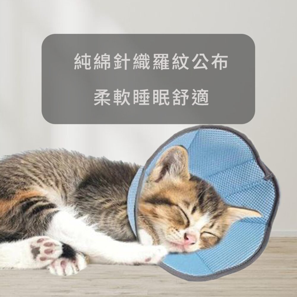 SHAME 透氣反光 伊莉莎白圈 頭套 防咬 防抓 保護套 透氣 沖孔 網布 節育頭套毛掌櫃寵物店-圖片-2