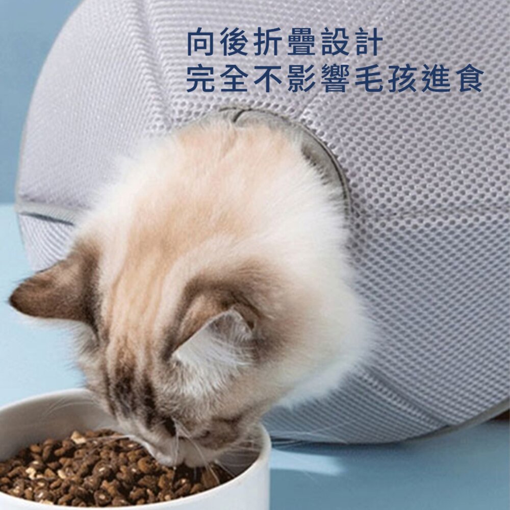 SHAME 透氣反光 伊莉莎白圈 頭套 防咬 防抓 保護套 透氣 沖孔 網布 節育頭套毛掌櫃寵物店-圖片-5