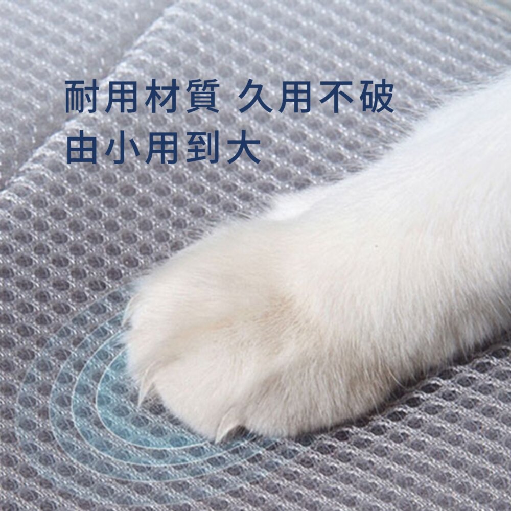 SHAME 透氣反光 伊莉莎白圈 頭套 防咬 防抓 保護套 透氣 沖孔 網布 節育頭套毛掌櫃寵物店-圖片-6
