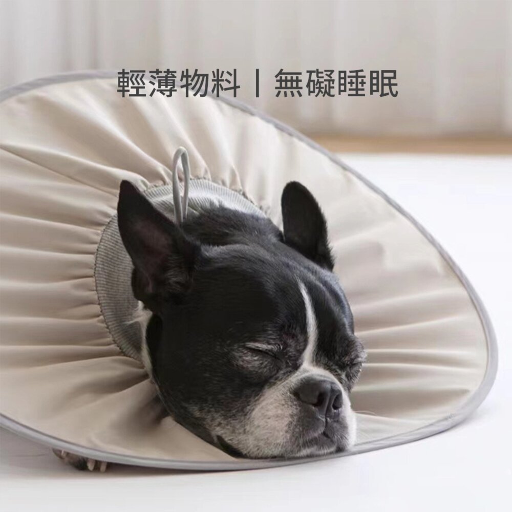 SHAME輕盈伊莉莎白圈 寵物 伊麗莎白圈 絕育 護理 項圈 貓咪 狗狗 美容 脖圈防 舔咬 小型犬頭套毛掌櫃寵物店-圖片-2