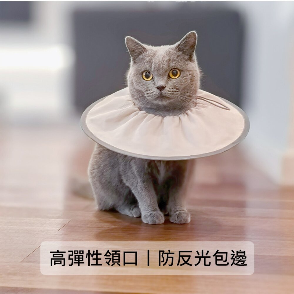 SHAME輕盈伊莉莎白圈 寵物 伊麗莎白圈 絕育 護理 項圈 貓咪 狗狗 美容 脖圈防 舔咬 小型犬頭套毛掌櫃寵物店-圖片-3