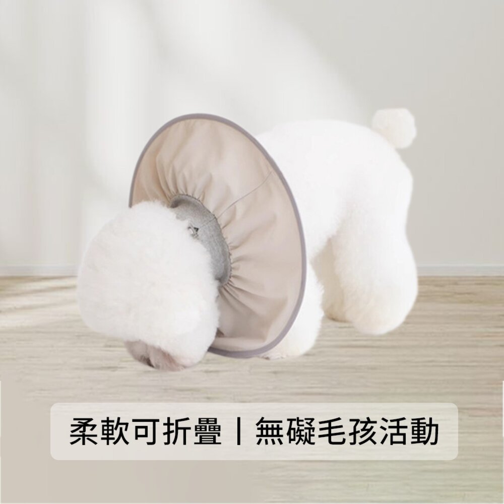 SHAME輕盈伊莉莎白圈 寵物 伊麗莎白圈 絕育 護理 項圈 貓咪 狗狗 美容 脖圈防 舔咬 小型犬頭套毛掌櫃寵物店-圖片-4