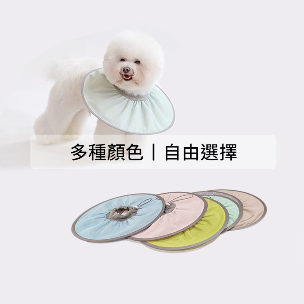 SHAME輕盈伊莉莎白圈 寵物 伊麗莎白圈 絕育 護理 項圈 貓咪 狗狗 美容 脖圈防 舔咬 小型犬頭套毛掌櫃寵物店-圖片-5