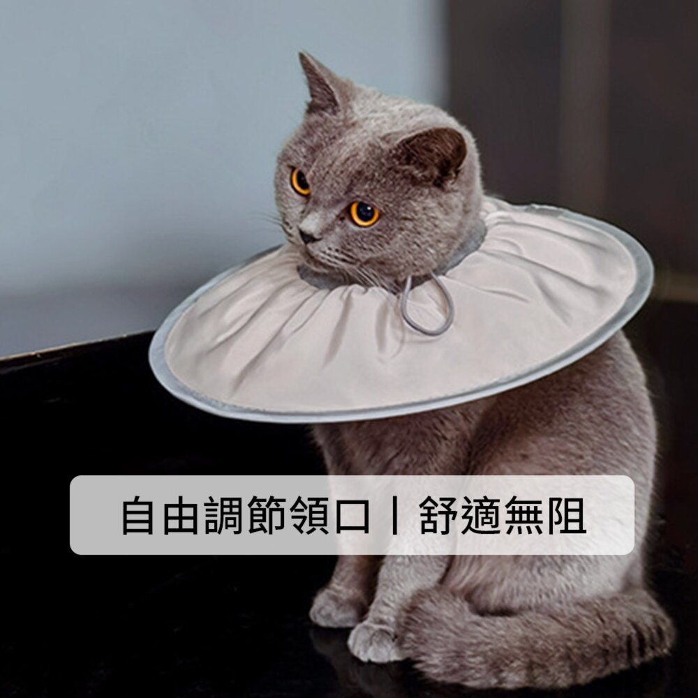 SHAME輕盈伊莉莎白圈 寵物 伊麗莎白圈 絕育 護理 項圈 貓咪 狗狗 美容 脖圈防 舔咬 小型犬頭套毛掌櫃寵物店-圖片-6