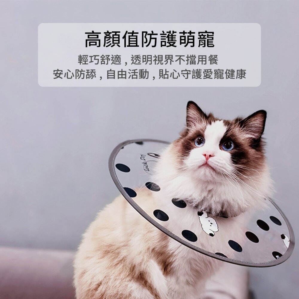 SHAME 印花透明伊莉莎白圈 貓咪 伊麗莎白圈 時尚 印花 透明PVC 狗狗 絕育 防舔咬 護理項圈 寵物用品毛掌櫃寵-圖片-1