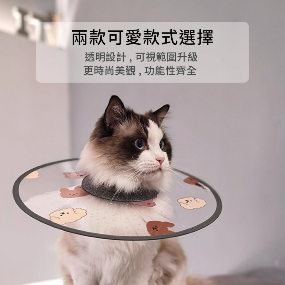 SHAME 印花透明伊莉莎白圈 貓咪 伊麗莎白圈 時尚 印花 透明PVC 狗狗 絕育 防舔咬 護理項圈 寵物用品毛掌櫃寵-圖片-2