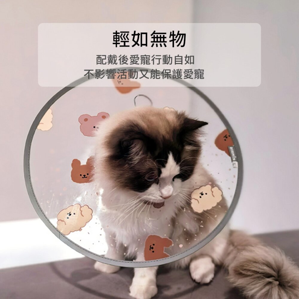 SHAME 印花透明伊莉莎白圈 貓咪 伊麗莎白圈 時尚 印花 透明PVC 狗狗 絕育 防舔咬 護理項圈 寵物用品毛掌櫃寵-圖片-4