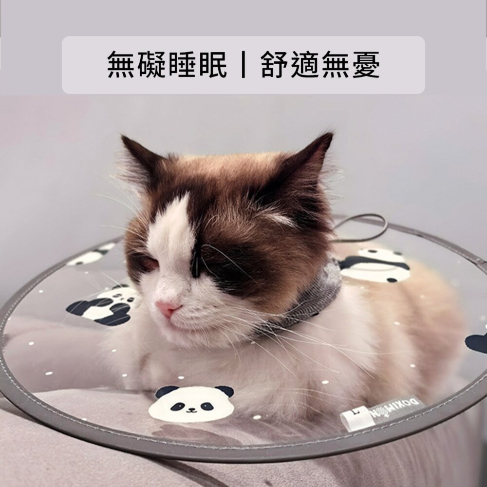 SHAME 印花透明 伊莉莎白圈 頭套 印花 透明PVC 狗狗 絕育 防舔咬 護理項圈 寵物用品毛掌櫃寵物店-圖片-5