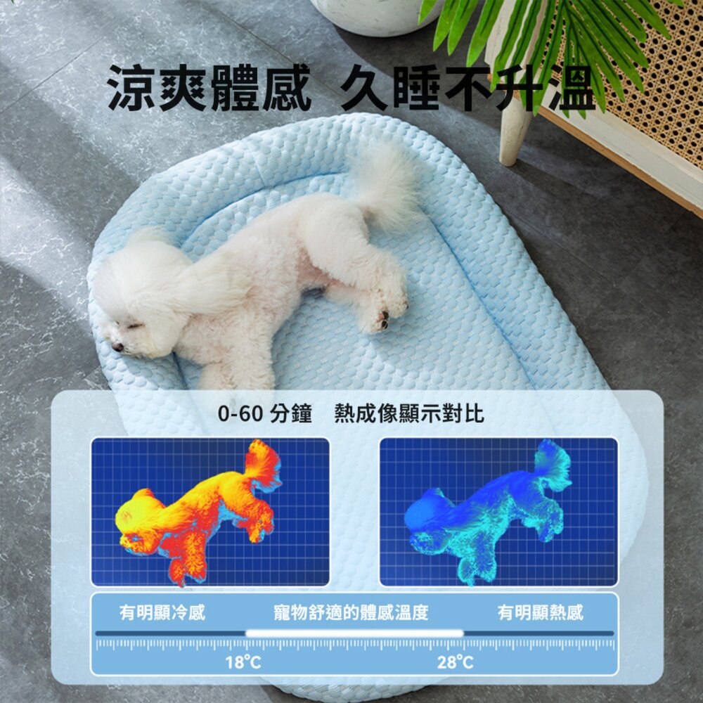 GRAC 豆豆3D涼感墊 春夏 寵物床墊 涼墊 透氣 冰豆豆 夏天 貓床 貓窩 墊子毛掌櫃寵物店-圖片-2