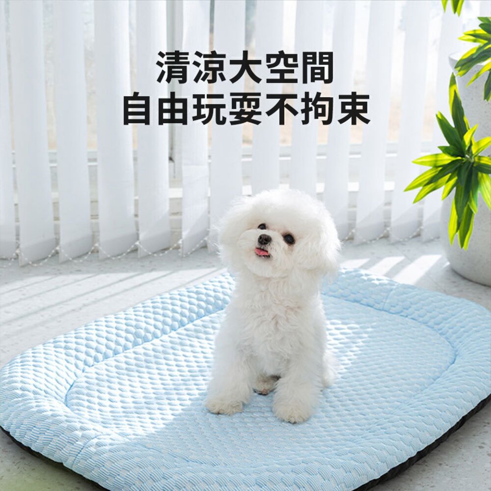 GRAC 豆豆3D涼感墊 春夏 寵物床墊 涼墊 透氣 冰豆豆 夏天 貓床 貓窩 墊子毛掌櫃寵物店-圖片-3