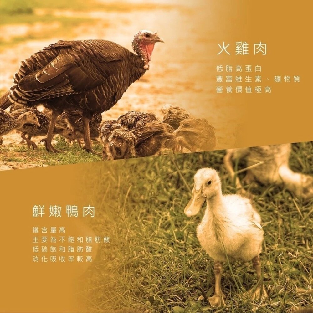 奧地利 WILD CALLING 狗罐頭 415G 大犬罐 完整肉塊 狗罐 犬罐 主食罐毛掌櫃寵物店-圖片-6