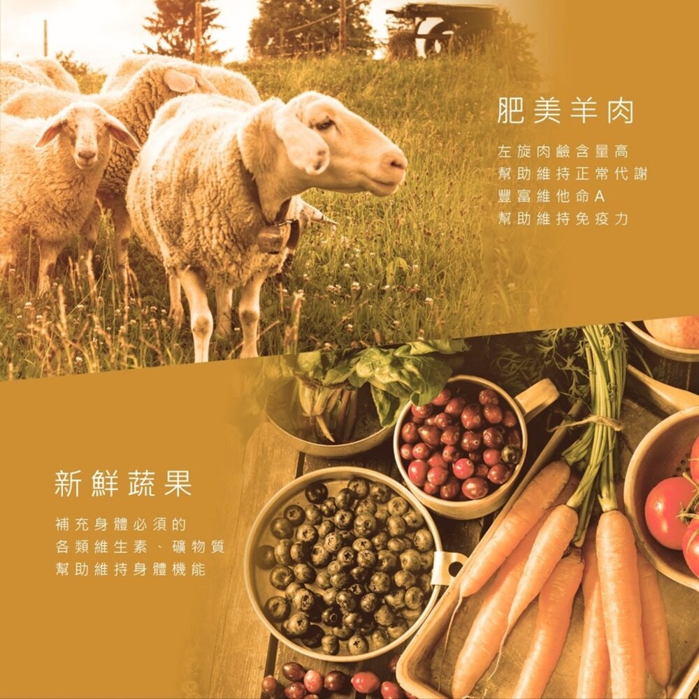 奧地利 WILD CALLING 狗罐頭 415G 大犬罐 完整肉塊 狗罐 犬罐 主食罐毛掌櫃寵物店-圖片-7
