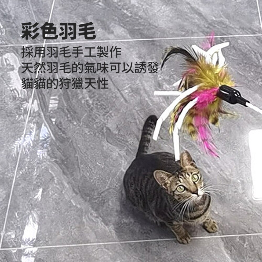 HF蘆花紙捲逗貓棒 飛鳥 發聲響紙 彩色羽毛 長桿 手持逗貓棒 自嗨 解悶神器 耐咬 貓咪玩具毛掌櫃寵物店-圖片-4