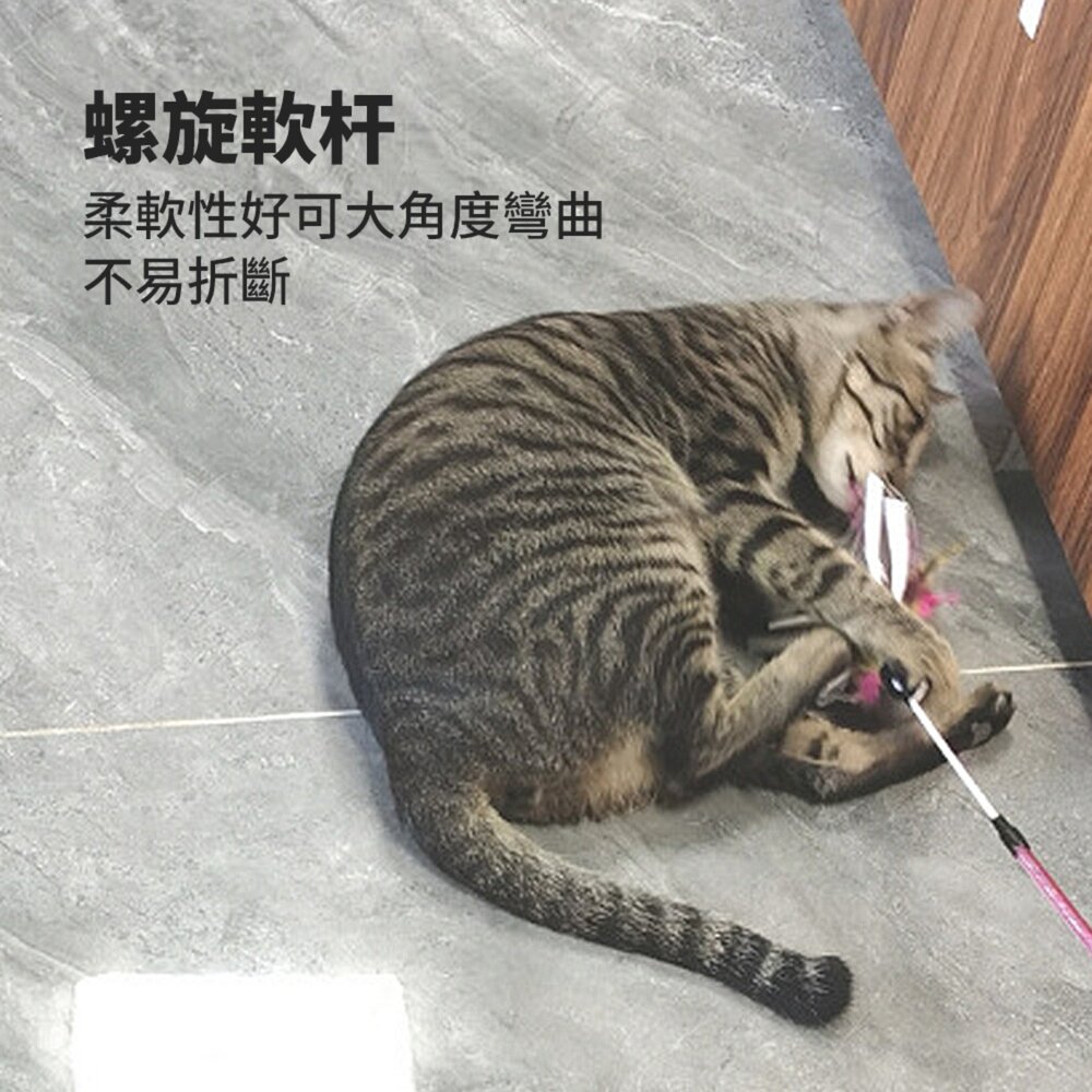 HF蘆花紙捲逗貓棒 飛鳥 發聲響紙 彩色羽毛 長桿 手持逗貓棒 自嗨 解悶神器 耐咬 貓咪玩具毛掌櫃寵物店-圖片-5
