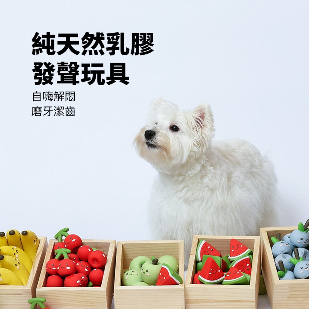 Roroarrr 天然乳膠發聲玩具 水果系列 狗玩具 可愛造型 天然玩具 安全玩具 水果造型毛掌櫃寵物店-圖片-1