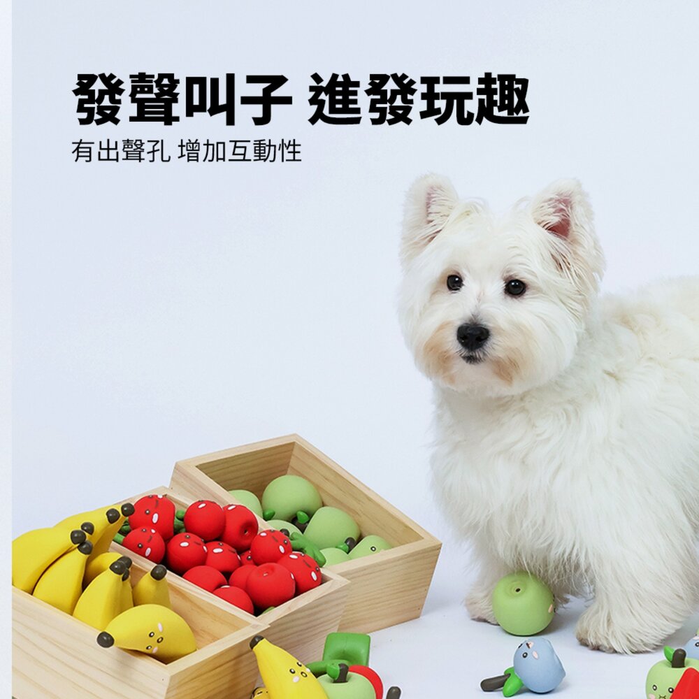Roroarrr 天然乳膠發聲玩具 水果系列 狗玩具 可愛造型 天然玩具 安全玩具 水果造型毛掌櫃寵物店-圖片-5