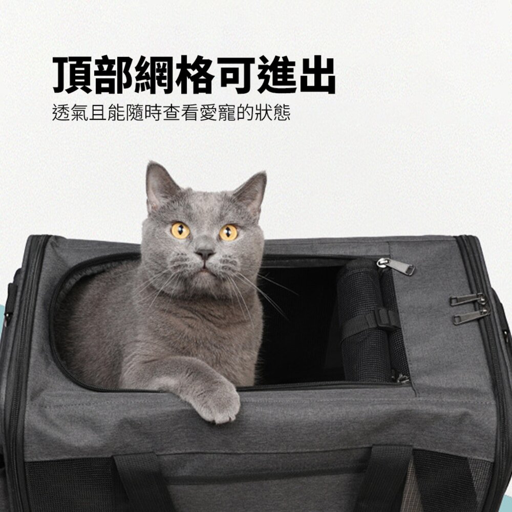 GZD 便攜拉桿車 新款貓包 外出 便攜拉桿 寵物包 透氣 可折疊 大容量 單肩 斜背 手提 寵物箱毛掌櫃寵物店-圖片-2