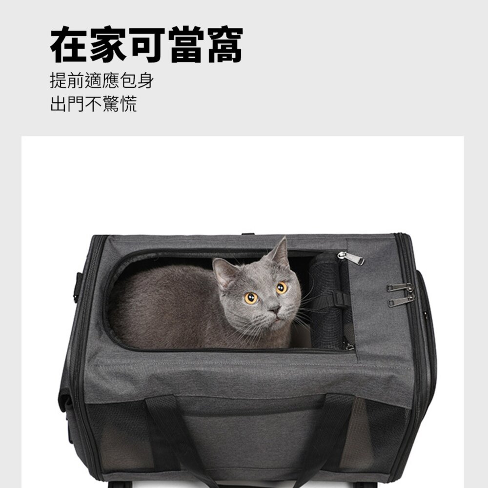 GZD 便攜拉桿車 新款貓包 外出 便攜拉桿 寵物包 透氣 可折疊 大容量 單肩 斜背 手提 寵物箱毛掌櫃寵物店-圖片-5