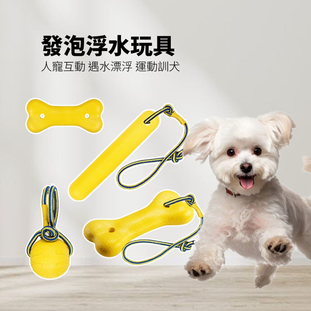 BIIITE 浮水耐咬玩具 寵物 玩具球 狗狗 浮水 訓犬 耐咬 磨牙 寵物球 穿繩球毛掌櫃寵物店-圖片-1