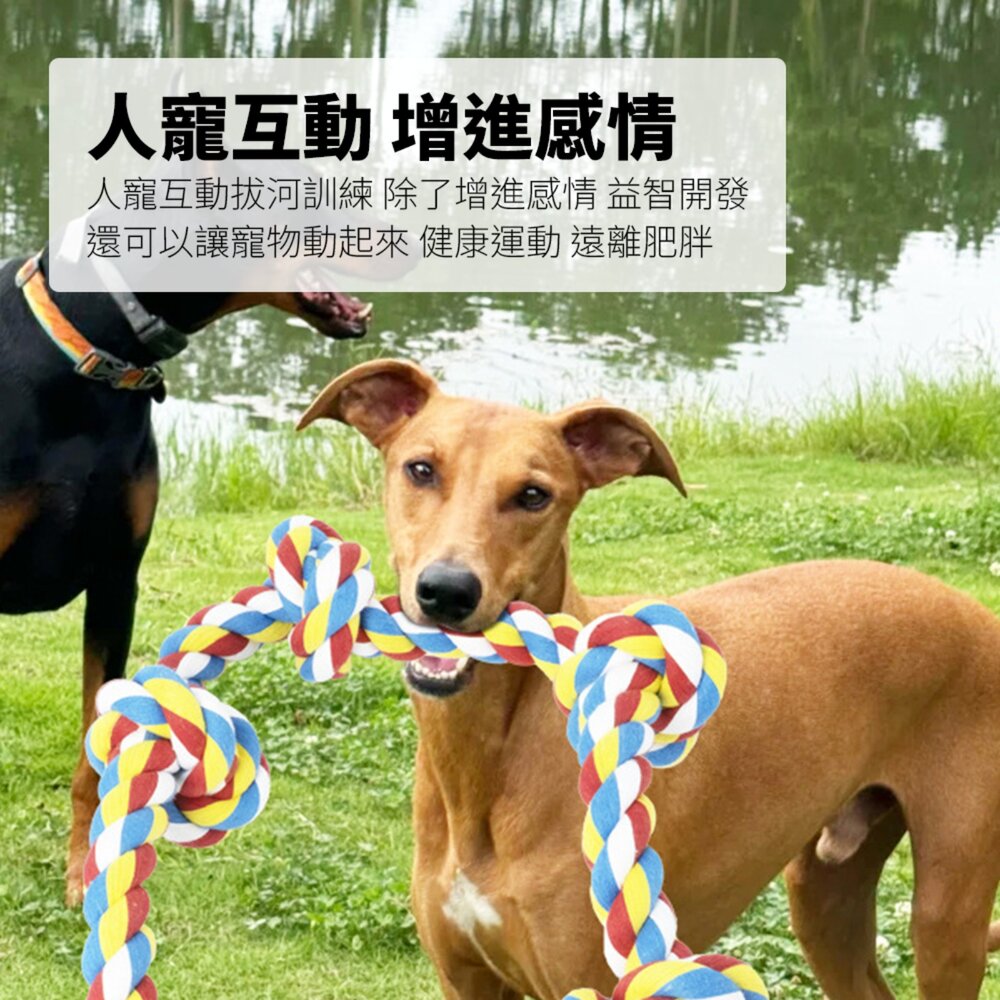 ROOOPE 手工棉繩 中大型犬 大狗狗玩具 寵物磨牙咬繩結 編織五結 寵物玩具 耐咬不易壞毛掌櫃寵物店-圖片-2