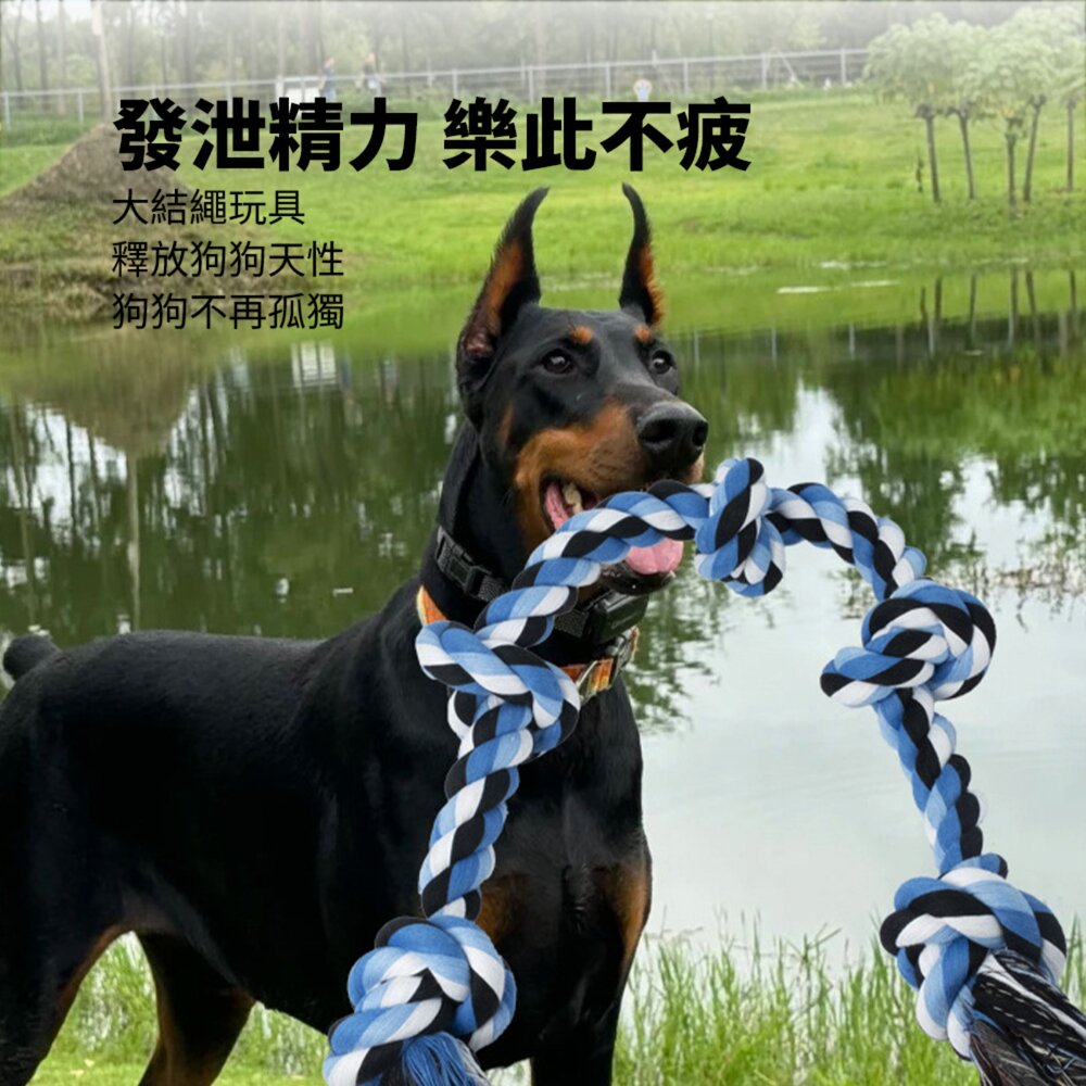 ROOOPE 手工棉繩 中大型犬 大狗狗玩具 寵物磨牙咬繩結 編織五結 寵物玩具 耐咬不易壞毛掌櫃寵物店-圖片-3