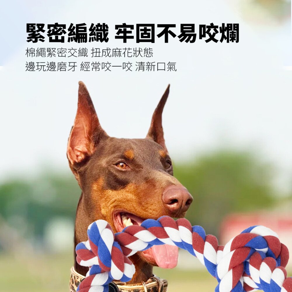 ROOOPE 手工棉繩 中大型犬 大狗狗玩具 寵物磨牙咬繩結 編織五結 寵物玩具 耐咬不易壞毛掌櫃寵物店-圖片-4
