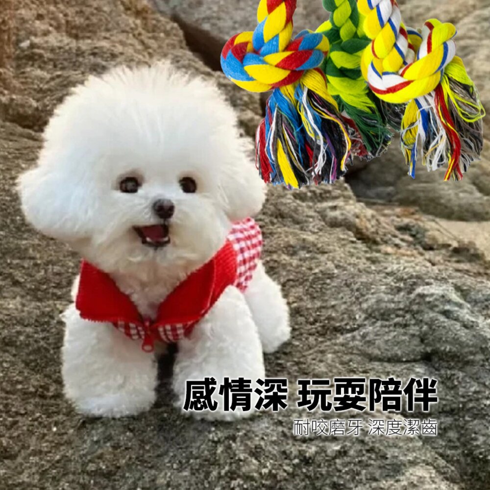 ROOOPE 手工棉繩 中小型犬 寵物棉繩 寵物狗玩具 磨牙潔齒 狗狗專用拉扯玩具 狗咬耐用款毛掌櫃寵物店-圖片-2