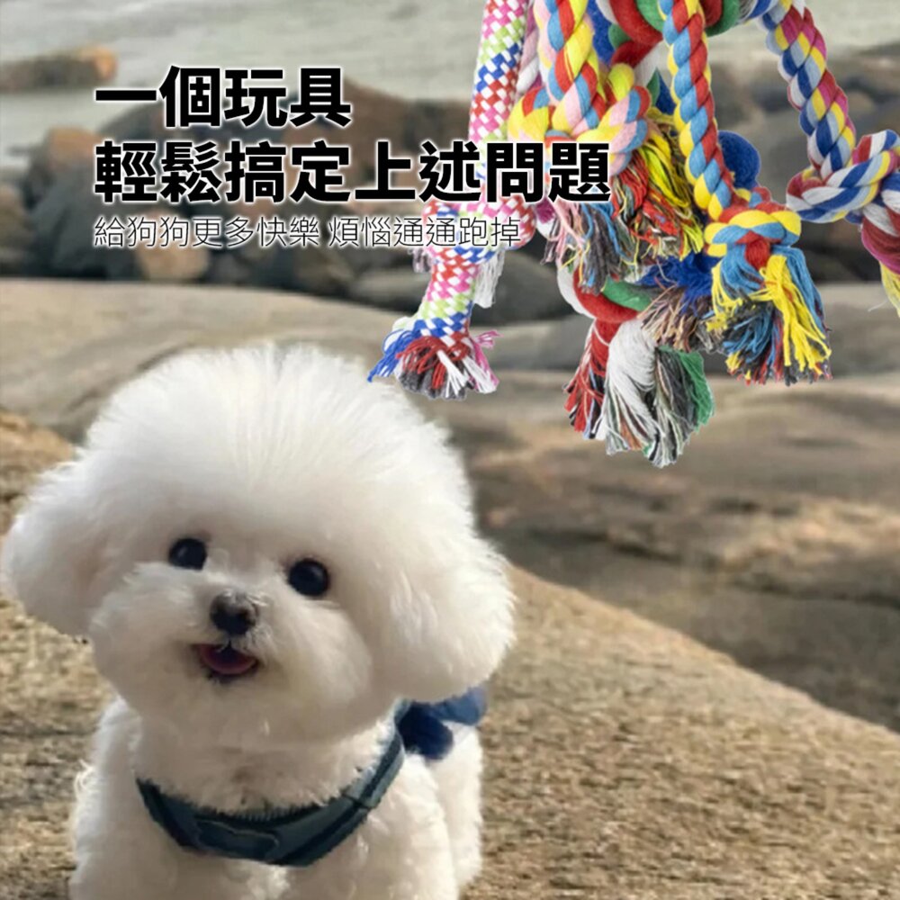ROOOPE 手工棉繩 中小型犬 寵物棉繩 寵物狗玩具 磨牙潔齒 狗狗專用拉扯玩具 狗咬耐用款毛掌櫃寵物店-圖片-3