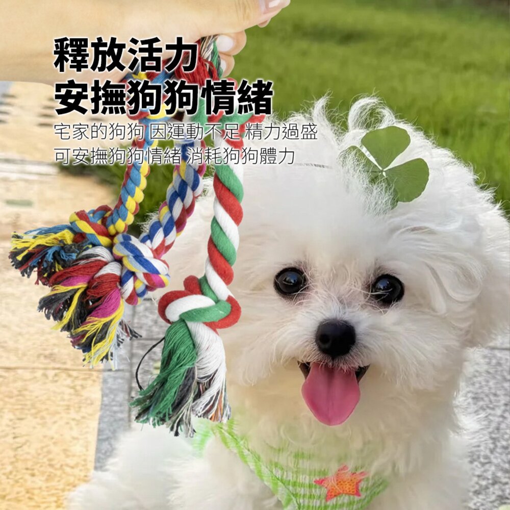 ROOOPE 手工棉繩 中小型犬 寵物棉繩 寵物狗玩具 磨牙潔齒 狗狗專用拉扯玩具 狗咬耐用款毛掌櫃寵物店-圖片-4