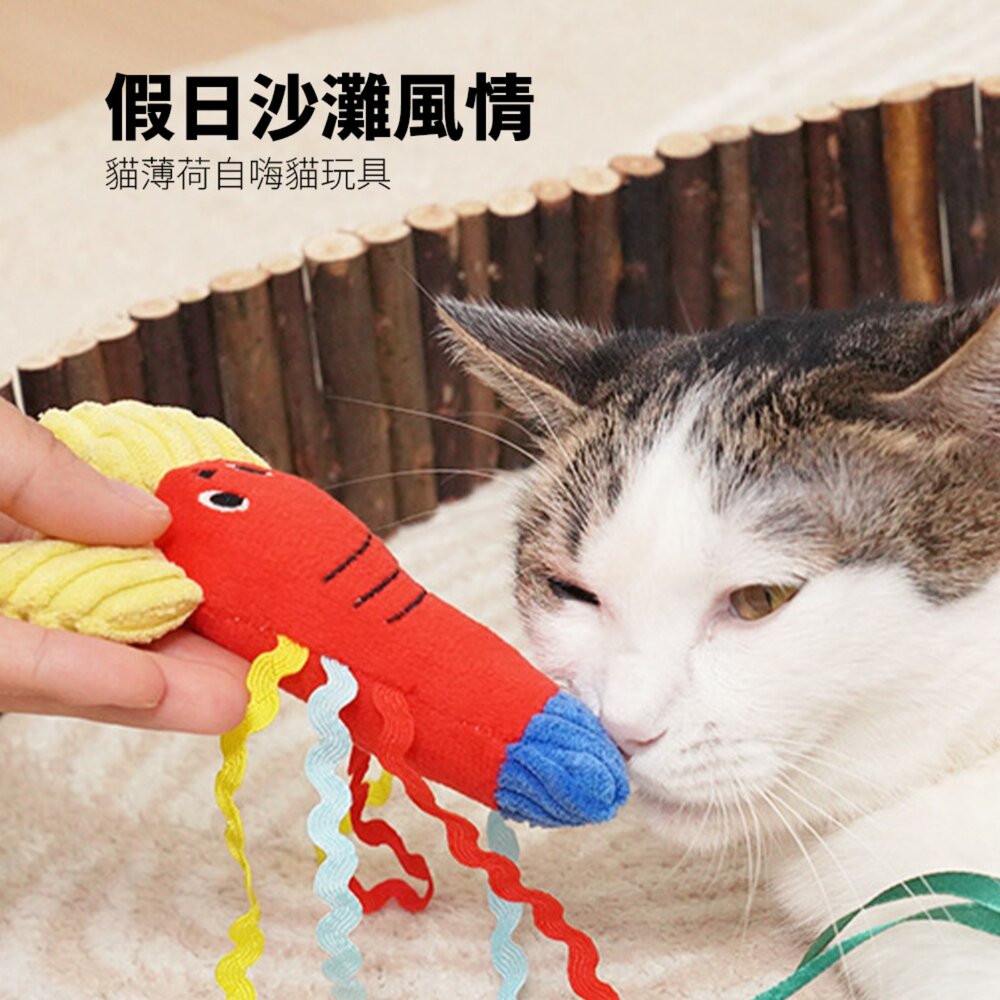 卡啦酷寵 假日衝浪貓玩具 貓咪玩具 自嗨解悶 貓薄荷 耐咬 幼貓磨牙 逗貓棒 寵物用品 貓咪玩具套裝毛掌櫃寵物店-圖片-2