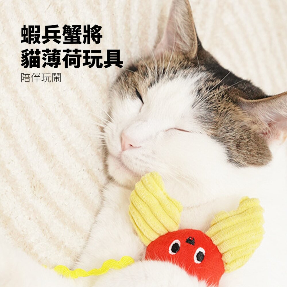 卡啦酷寵 假日衝浪貓玩具 貓咪玩具 自嗨解悶 貓薄荷 耐咬 幼貓磨牙 逗貓棒 寵物用品 貓咪玩具套裝毛掌櫃寵物店-圖片-5