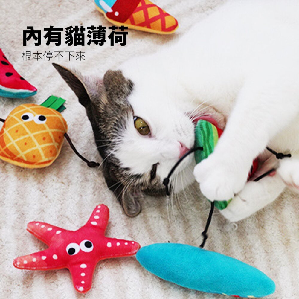 卡啦酷寵 假日衝浪貓玩具 貓咪玩具 自嗨解悶 貓薄荷 耐咬 幼貓磨牙 逗貓棒 寵物用品 貓咪玩具套裝毛掌櫃寵物店-圖片-6