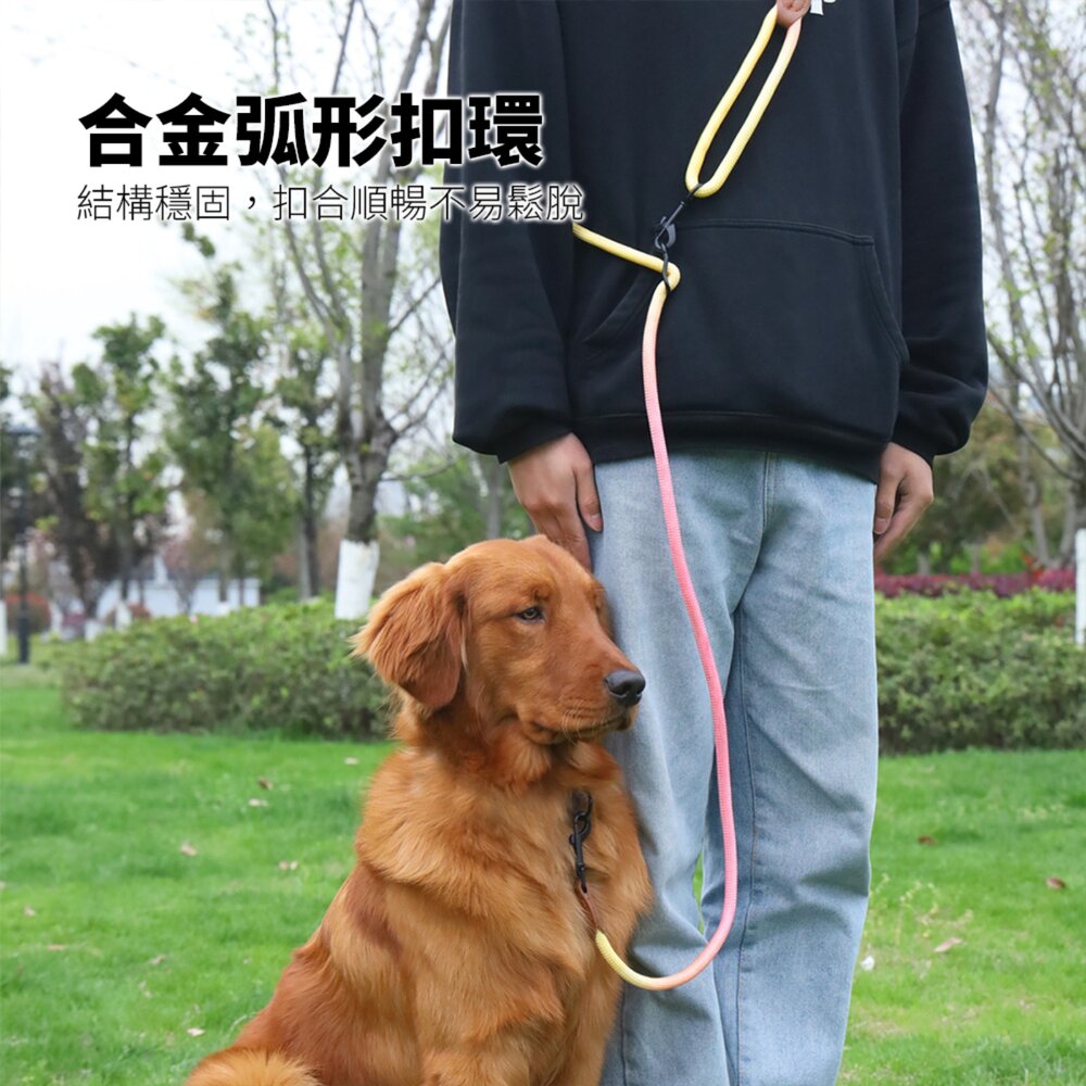 GOOUT 解放雙手 反光牽引繩 斜背牽繩 寵物狗狗貓咪散步用 高亮反光 一拖二牽引繩毛掌櫃寵物店-圖片-2