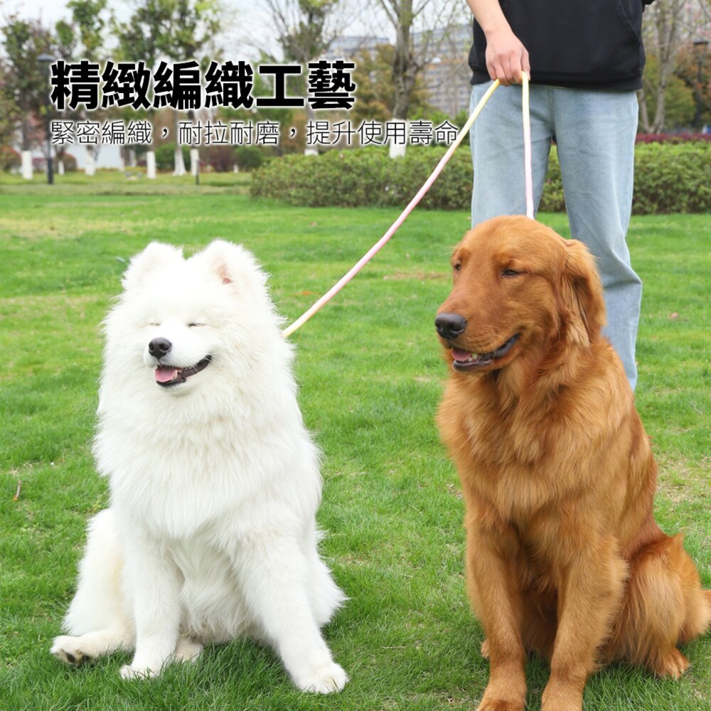 GOOUT 解放雙手 反光牽引繩 斜背牽繩 寵物狗狗貓咪散步用 高亮反光 一拖二牽引繩毛掌櫃寵物店-圖片-3