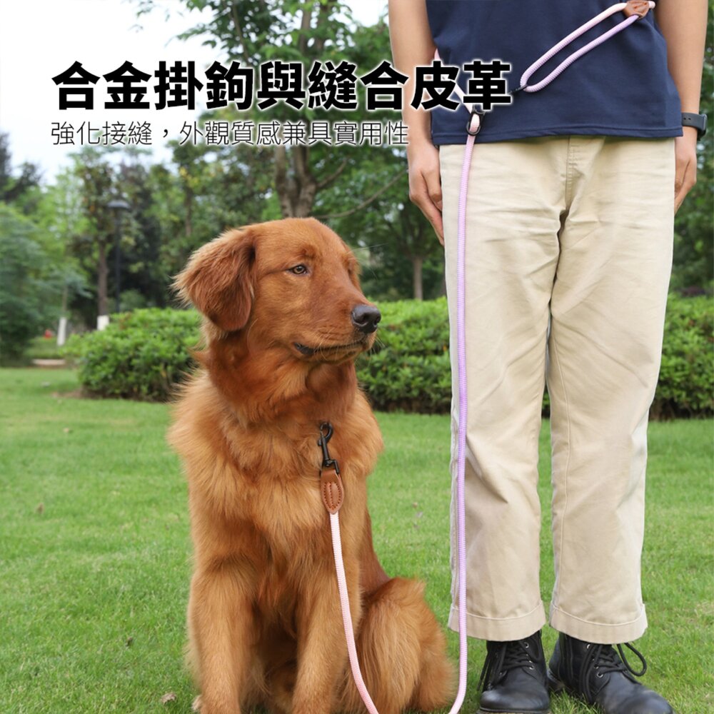 GOOUT 解放雙手 反光牽引繩 斜背牽繩 寵物狗狗貓咪散步用 高亮反光 一拖二牽引繩毛掌櫃寵物店-圖片-4