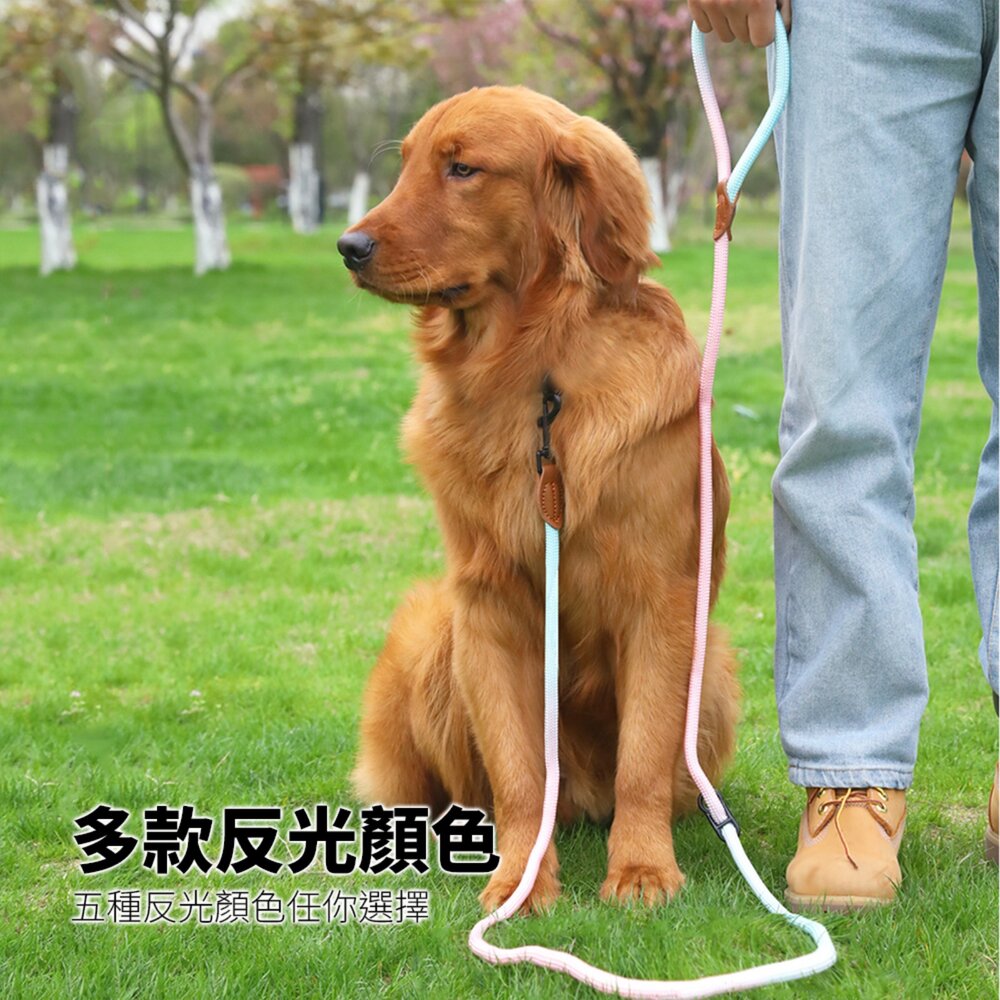 GOOUT 解放雙手 反光牽引繩 斜背牽繩 寵物狗狗貓咪散步用 高亮反光 一拖二牽引繩毛掌櫃寵物店-圖片-6