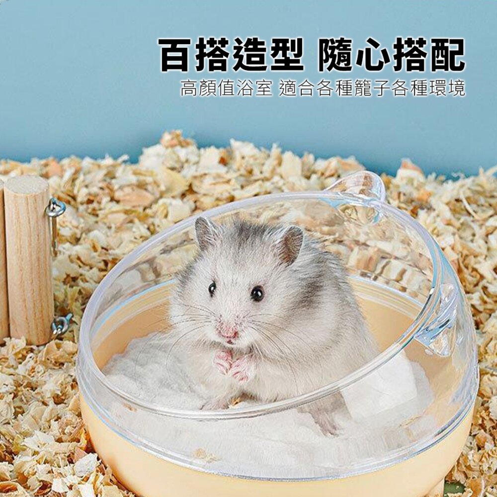 Small 倉鼠四腳浴室 倉鼠浴室 洗澡浴盆 浴沙盆 廁所兩用 浴沙 防飛濺設計毛掌櫃寵物店-圖片-1