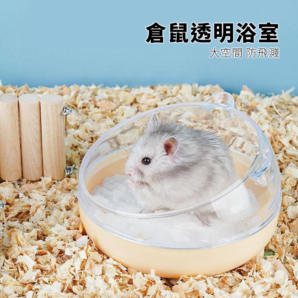 Small 倉鼠四腳浴室 倉鼠浴室 洗澡浴盆 浴沙盆 廁所兩用 浴沙 防飛濺設計毛掌櫃寵物店-圖片-2