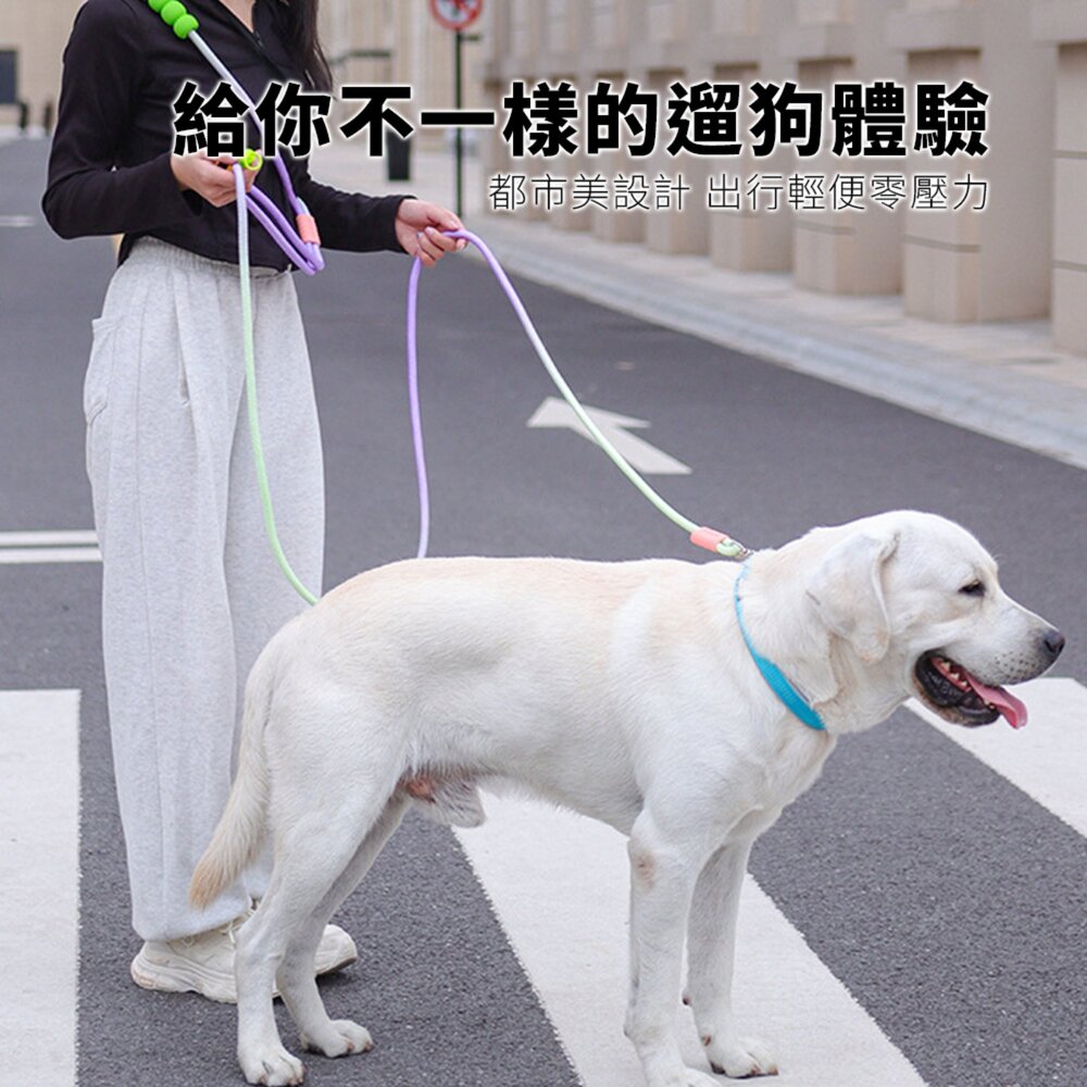 GOOUT 雲朵泡泡繩 拼色 狗狗牽引繩 多巴胺遛狗 寵物P繩 炫彩漸變狗繩子毛掌櫃寵物店-圖片-1