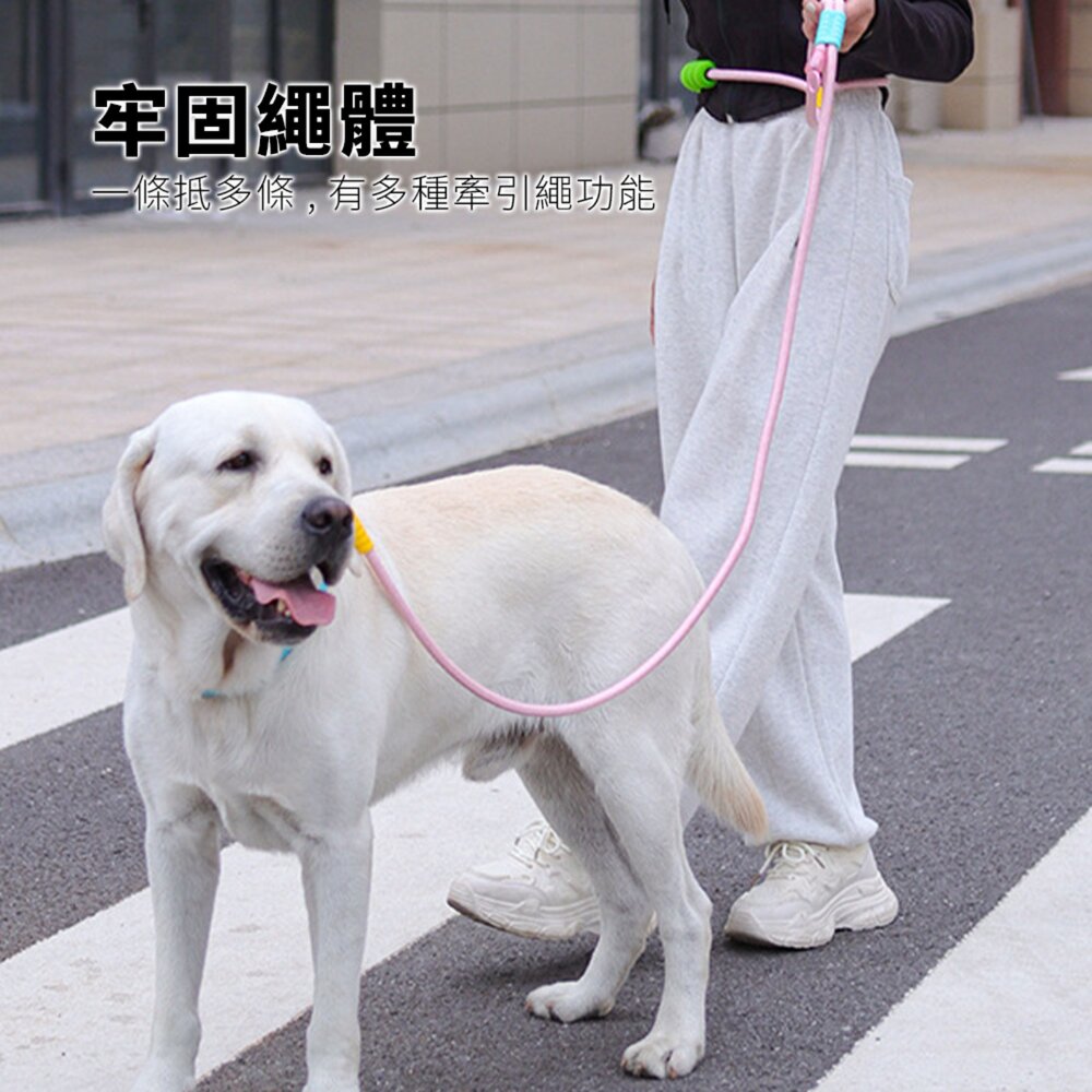 GOOUT 雲朵泡泡繩 拼色 狗狗牽引繩 多巴胺遛狗 寵物P繩 炫彩漸變狗繩子毛掌櫃寵物店-圖片-2