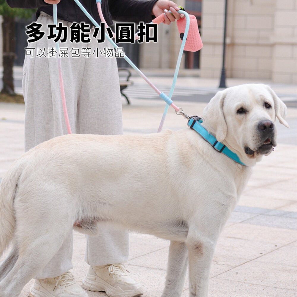 GOOUT 雲朵泡泡繩 拼色 狗狗牽引繩 多巴胺遛狗 寵物P繩 炫彩漸變狗繩子毛掌櫃寵物店-圖片-3