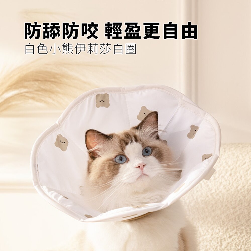 RCC 親膚海綿伊莉莎白 薄款 寵物項圈 貓咪伊麗莎白項圈 卡通小熊印花 狗狗項圈 絕育防舔頭套用品毛掌櫃寵物店-圖片-1