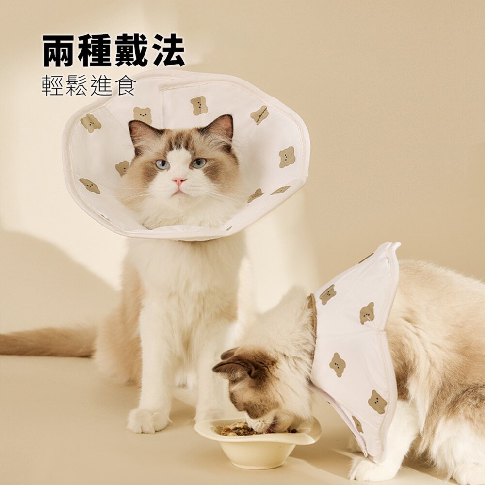 RCC 親膚海綿伊莉莎白 薄款 寵物項圈 貓咪伊麗莎白項圈 卡通小熊印花 狗狗項圈 絕育防舔頭套用品毛掌櫃寵物店-圖片-7